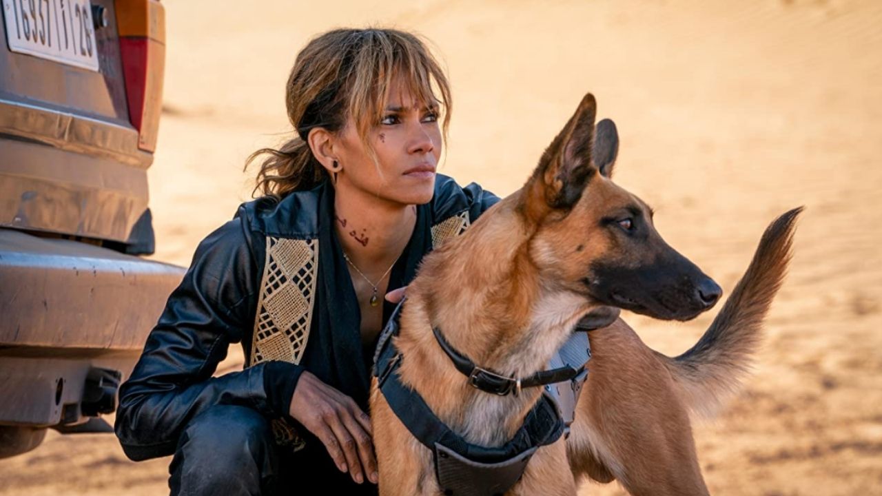 Halle Berry’s Sofia Could Skip John Wick 4 For Her Own Spinoff cover