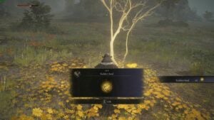 All Consumable Golden Seeds – Location & Map Guide – Elden Ring