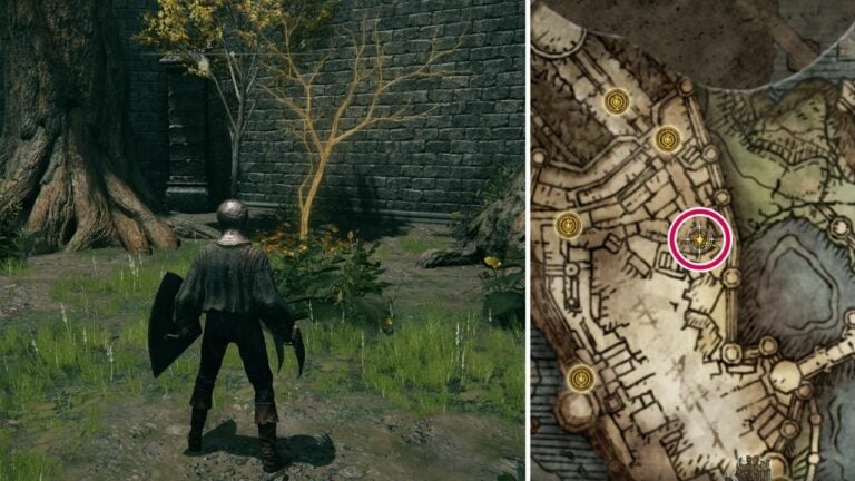 All Consumable Golden Seeds – Location and Map Guide – Elden Ring 