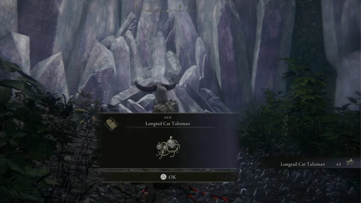 Elden Ring Longtail Cat Talisman Not Working Explained