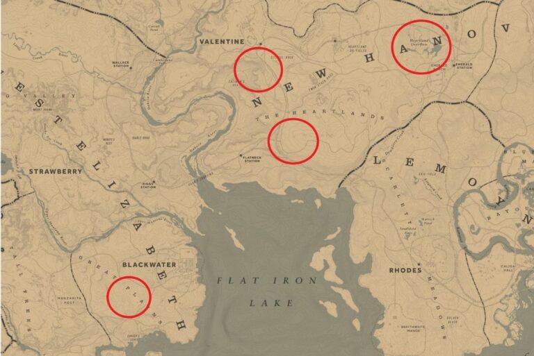 Localização privilegiada de carne em Red Dead Redemption 2! Como encontrar e cozinhar?