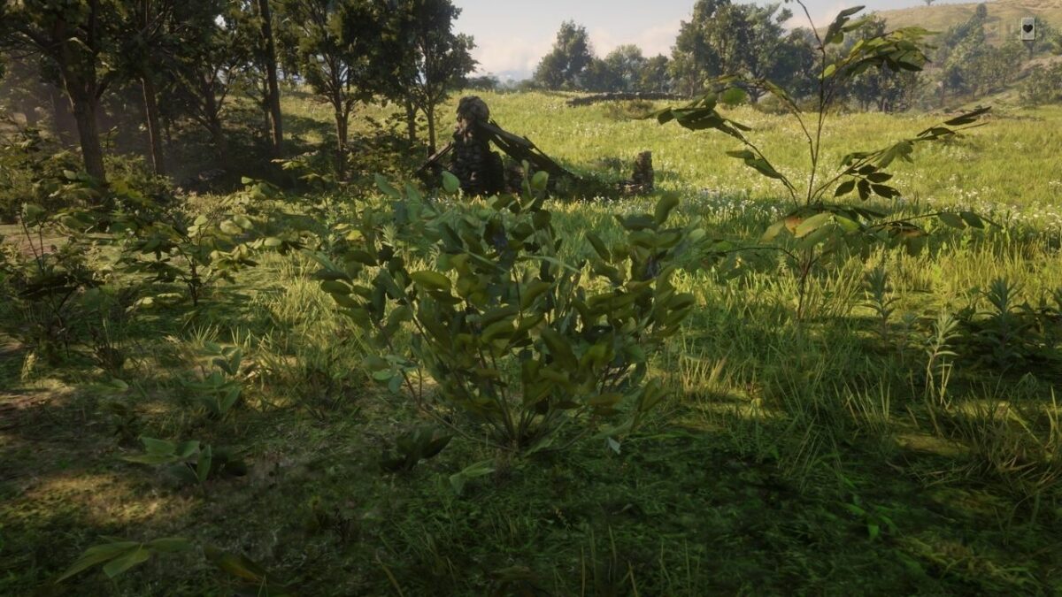 Best Locations to Obtain Everygreen Huckleberry in Red Dead Online