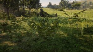 Best Locations to Obtain Everygreen Huckleberry in Red Dead Online 