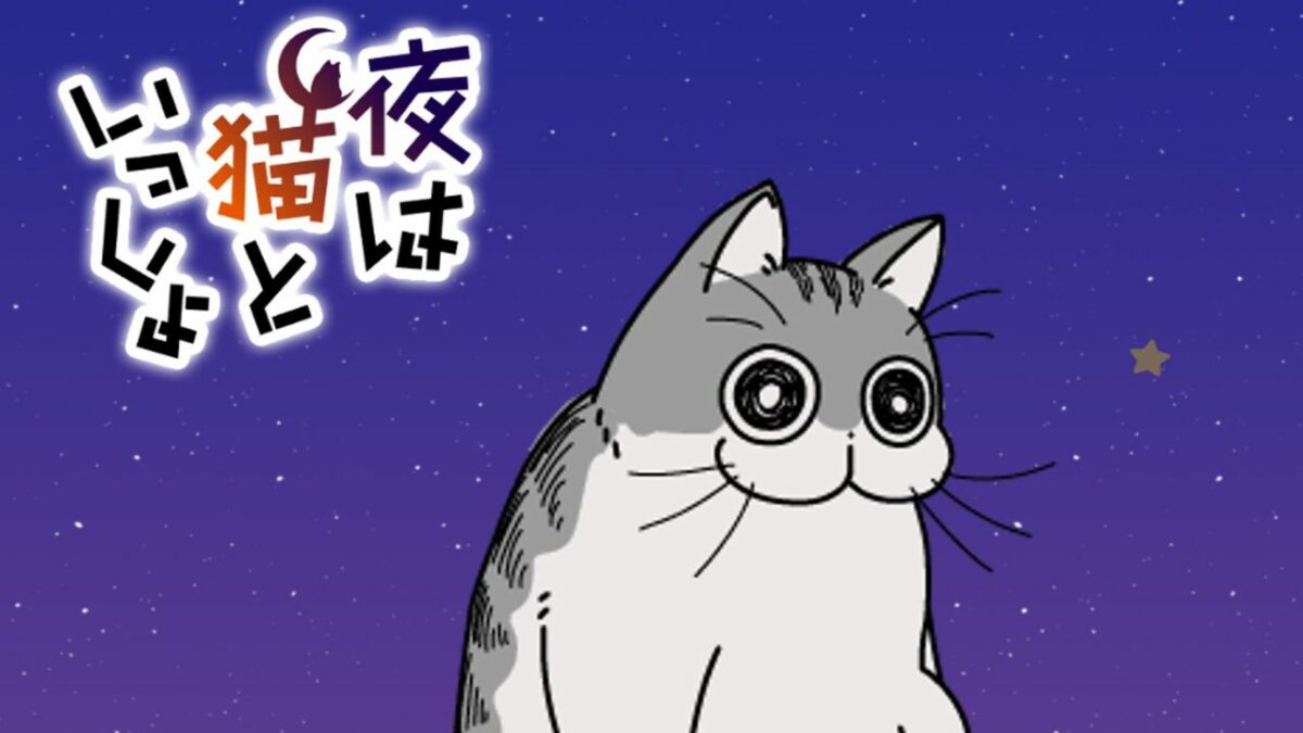 El teaser del anime 'Nights with a Cat' muestra el comportamiento errático de un gato doméstico