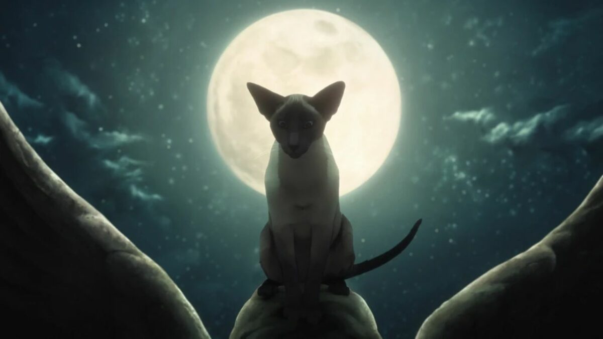 The Sandman Bonus Episode: Episode 11