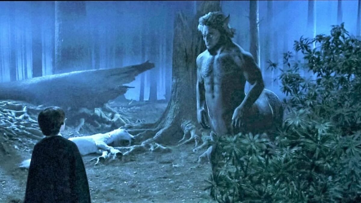 Wizarding World Opens HP Forbidden Forest Experience in the US