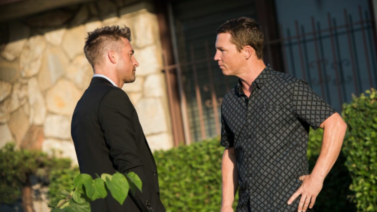 Every Major Question About Pope from Animal Kingdom Answered