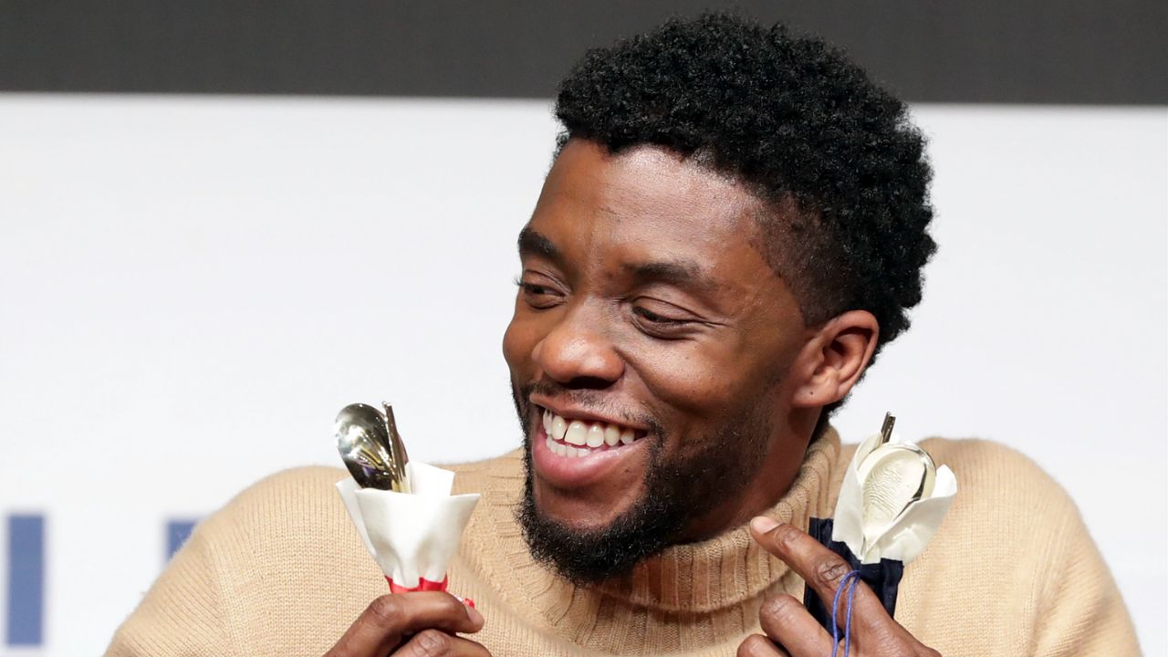 How does T’Challa/Black Panther die in the MCU?