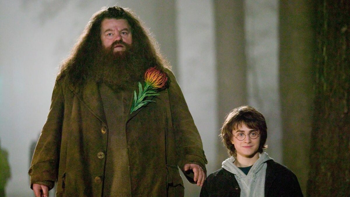 Top Five Hagrid Moments from Harry Potter