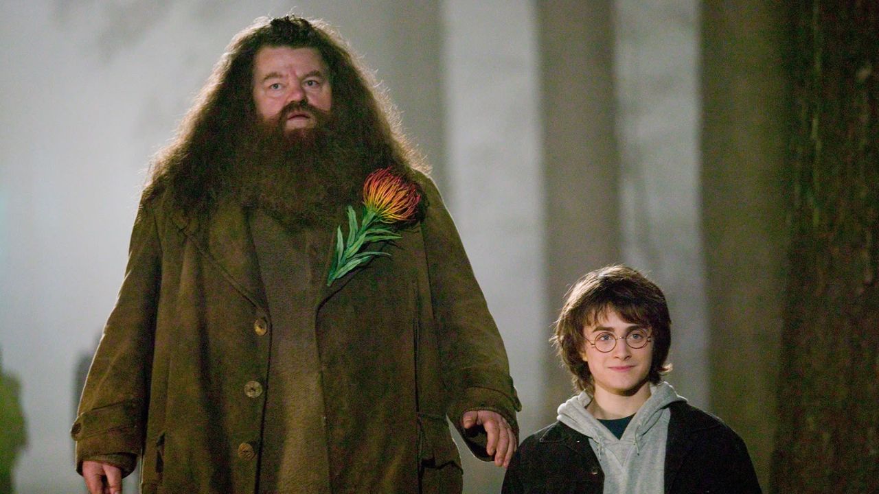 Momentos que nos fizeram apaixonar pela capa de Hagrid de Robbie Coltrane