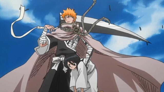 Formas de Ichigo a lo largo de las estaciones: clasificado