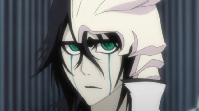 Bleach: Vollständige Zusammenfassung von Bleach: Episoden 1-366