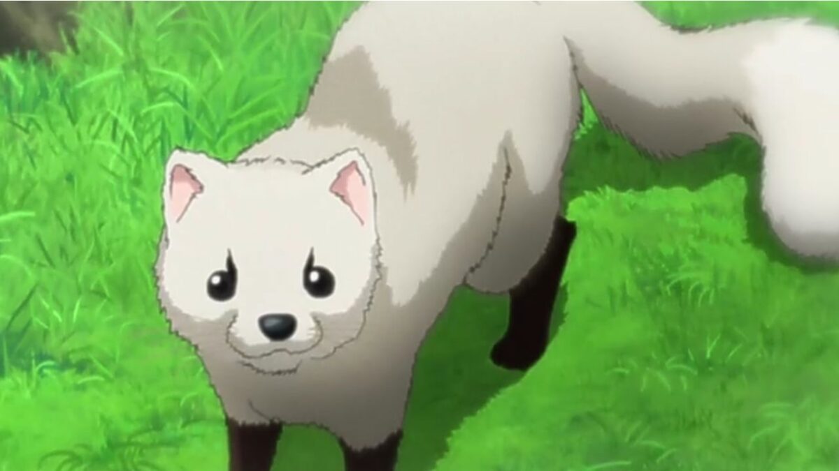 Boruto: Naruto Next Generations Ep 276, Release date, Watch Online