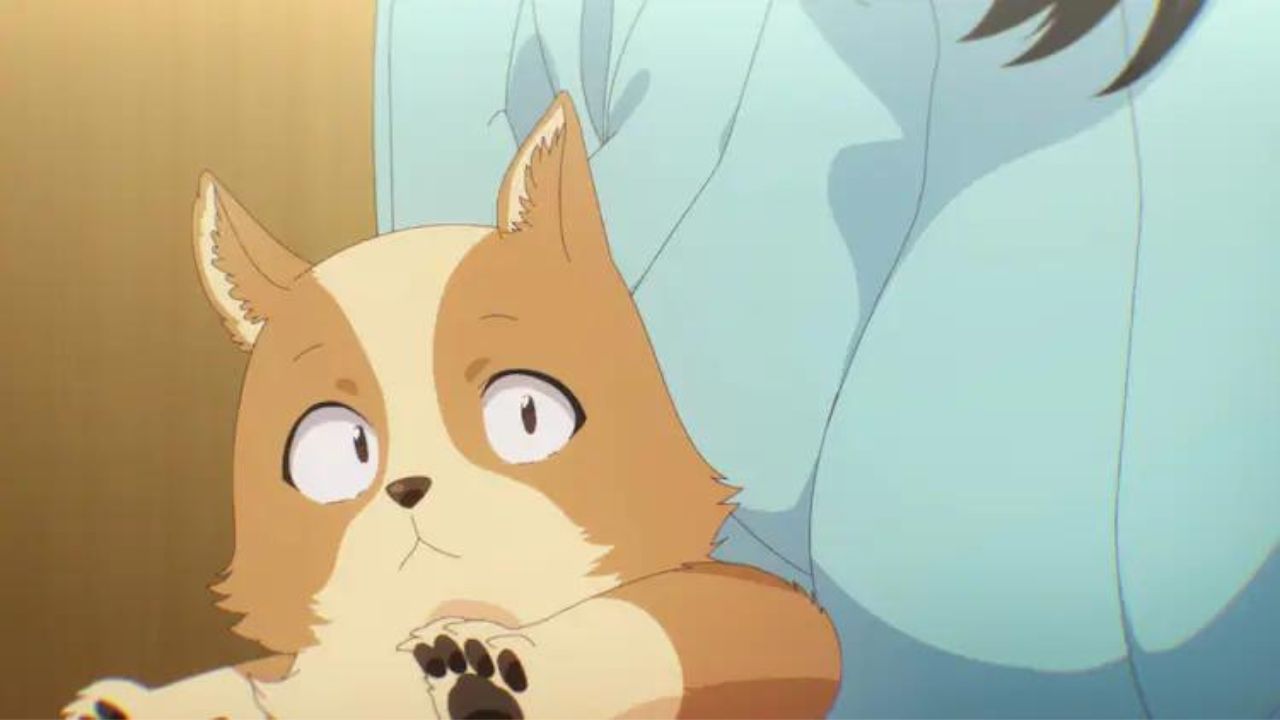 Anime pet life