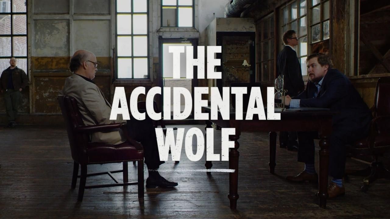 The Accidental Wolf S3: The Last Season Puts Katie on the Run  cover