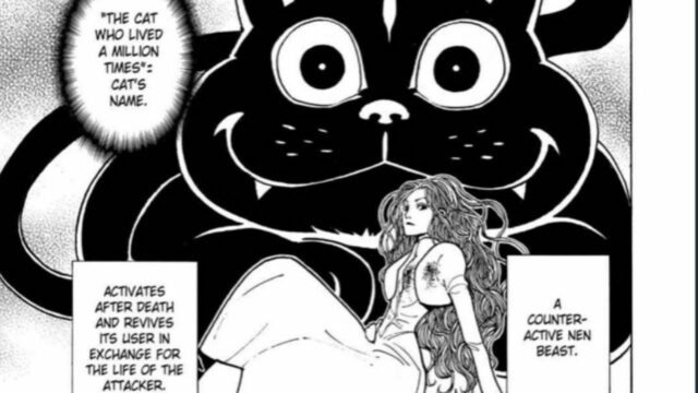 Hunter x Hunter: Pitou’s Post-Mortem Nen – A Missed Opportunity!