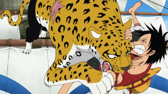 One Piece: Wird es in Egghead einen Rückkampf zwischen Luffy und Lucci geben?
