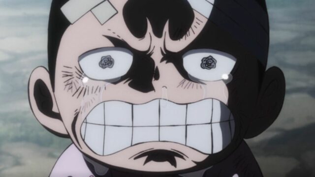 One Piece Episode 1045 Release Date, Speculation, Watch Online