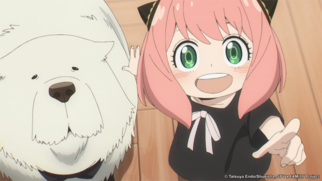 How many Stella’s and Tonitrus’s does Anya have as of September 2023? cover