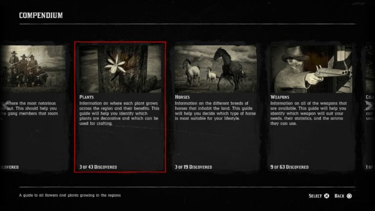  Does RDR2 have New Game Plus in PS4 and PS5? Post-Completion Guide