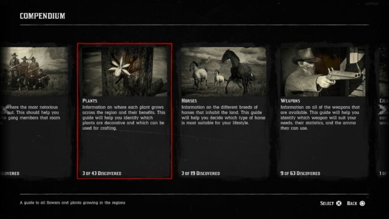 Bietet RDR2 New Game Plus für PS4 und PS5? Leitfaden nach der Fertigstellung