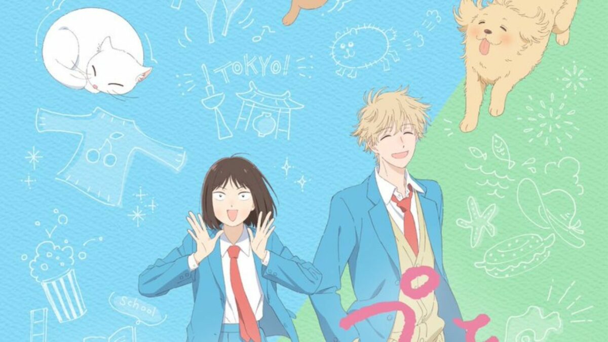 Skip and Loafer Shares