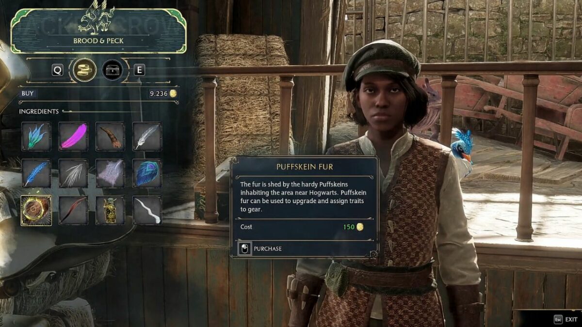 Where to find Brood and Peck in Hogwarts Legacy? Easy Guide