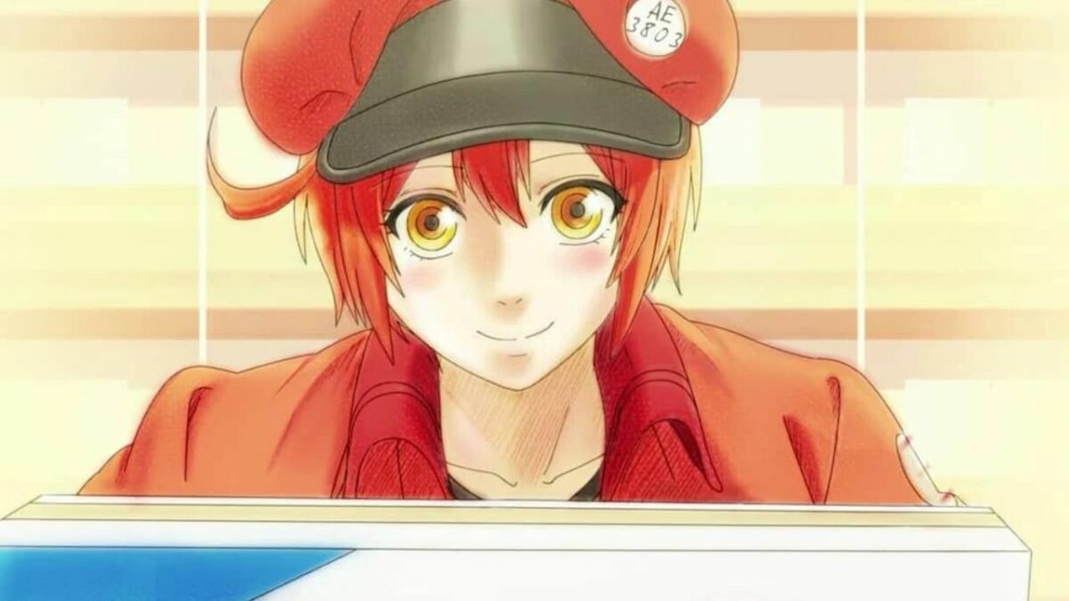 Cells at Work New Spinoff Manga Announced! Launches on Thursday