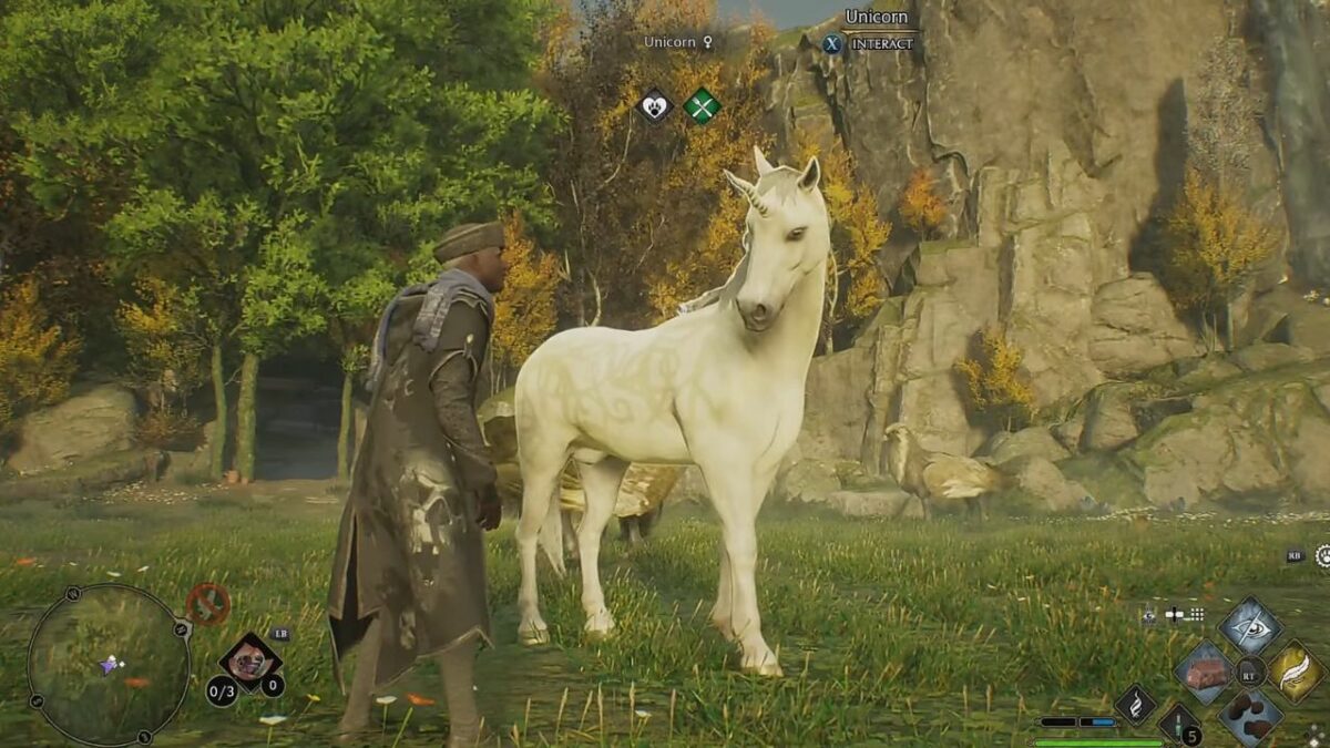 How to catch Unicorns in Hogwarts Legacy? Location Guide