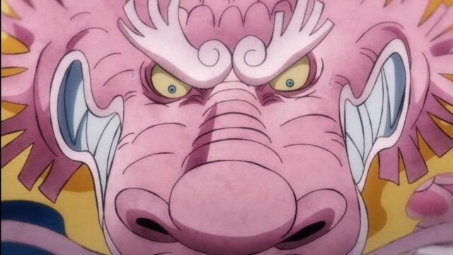 One Piece Episode 1051 Episode Guide – Release Date, Times & More -  Cultured Vultures