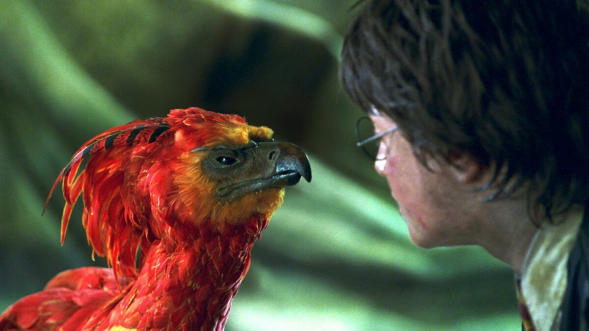 Is there only one Phoenix in Hogwarts Legacy?