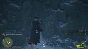 How to get the collection chest in Horklump Hollow in Hogwarts Legacy?