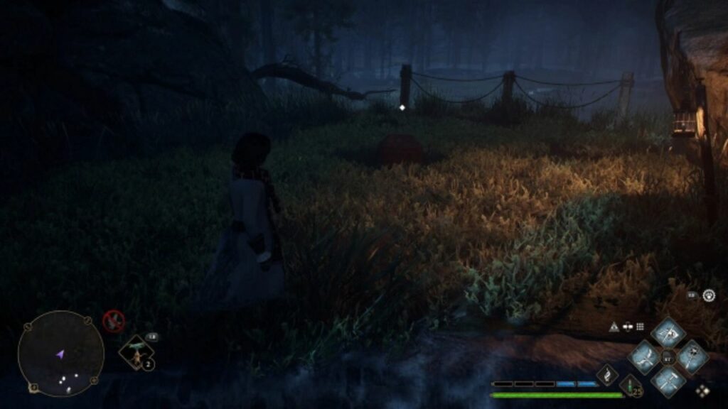 How to reach all the Vivarium Chest locations?