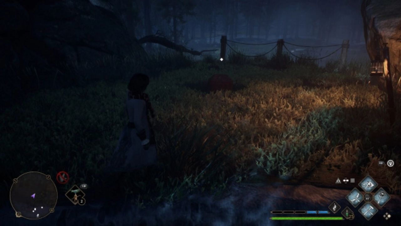 How to reach all the Vivarium Chest locations?