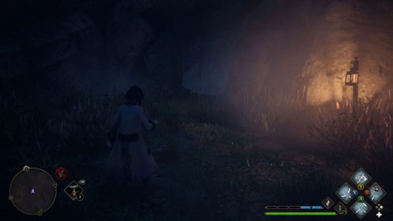 How to reach all the Vivarium Chest locations?