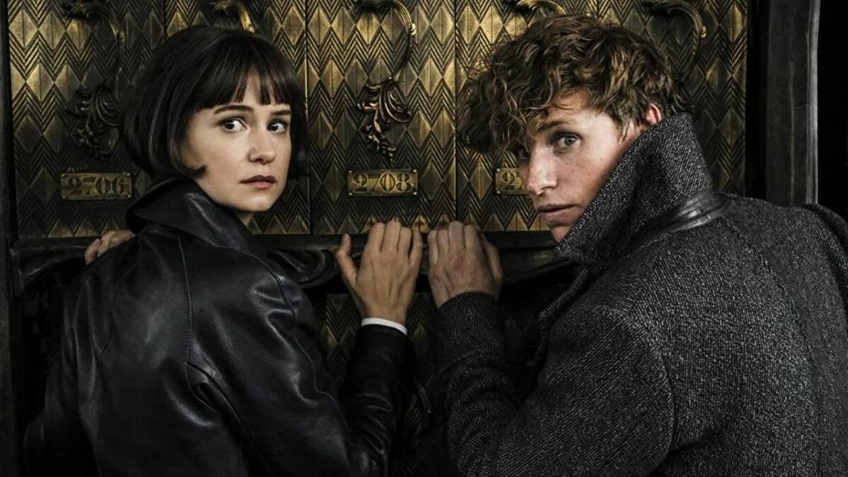 Does Newt & Tina Marry Each Other After Fantastic Beasts?