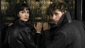 Does Newt & Tina Marry Each Other After Fantastic Beasts?