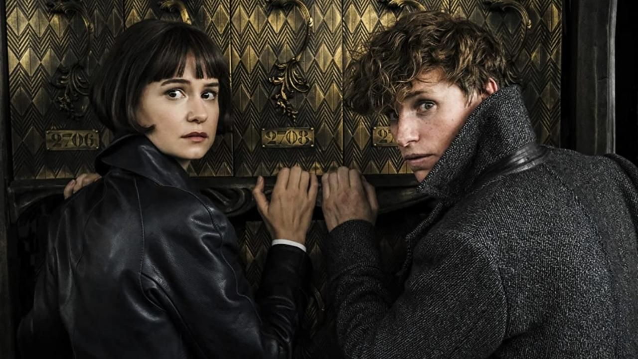 Does Newt & Tina Marry Each Other After Fantastic Beasts? cover