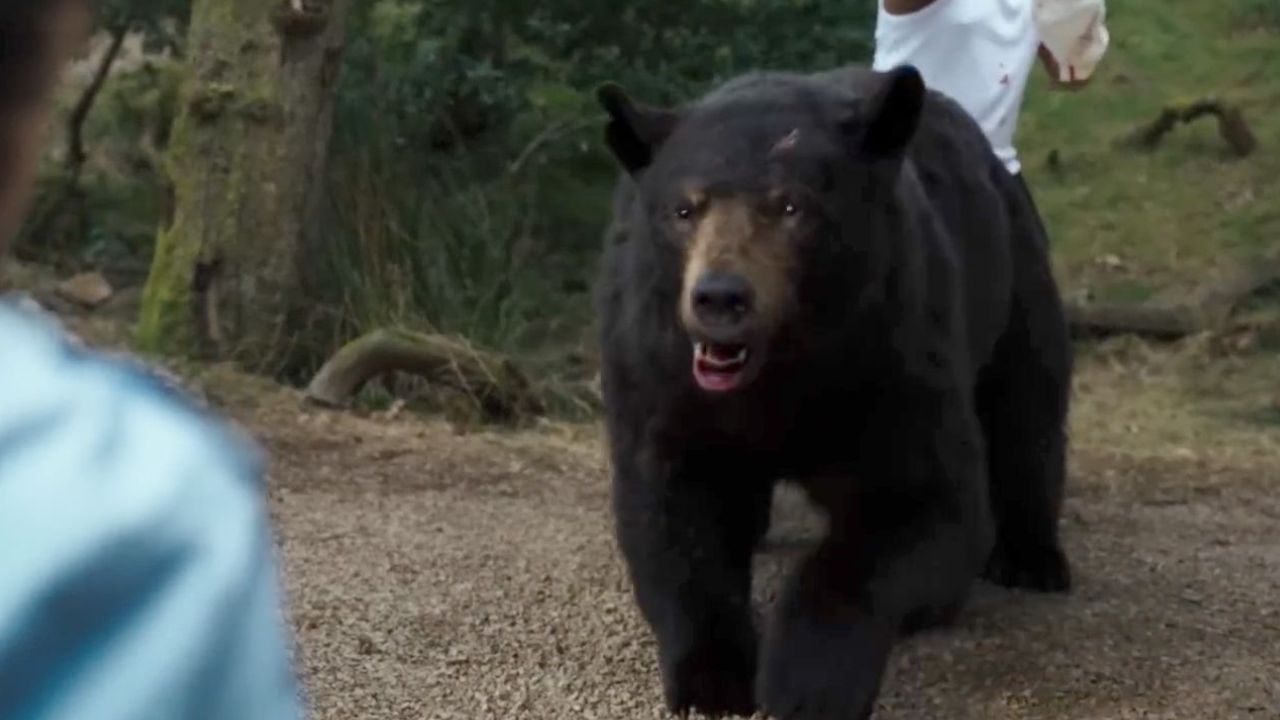Urso de cocaína: quem morre e quem sobrevive no filme? cobrir