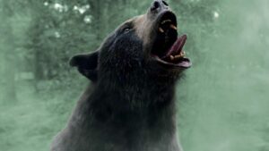 Pego! Pavão conta história real de urso de cocaína em documentário