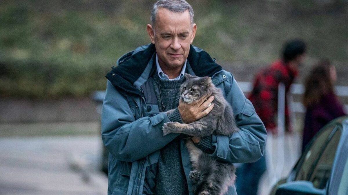 How ‘A Man Called Otto’ Adapted the Story for an American Audience