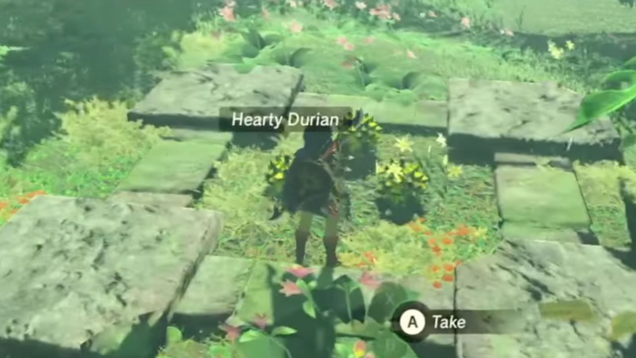 Finding Hearty Durian in Zelda: Tears of the Kingdom – Complete Guide cover