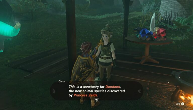 The Beast and The Princess Walkthrough - Zelda: Tears of the Kingdom 