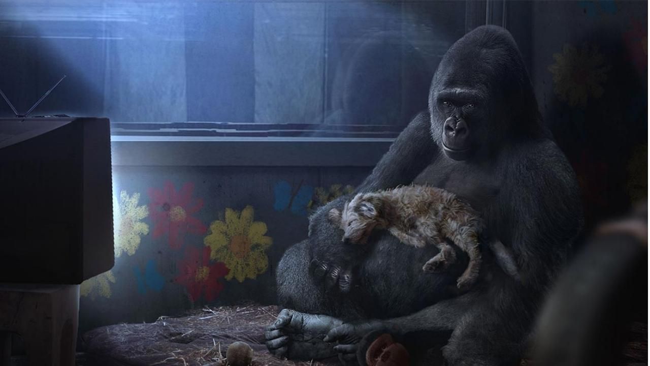 ‘The One & Only Ivan’ Star Responds to Movie’s Removal from Disney Plus