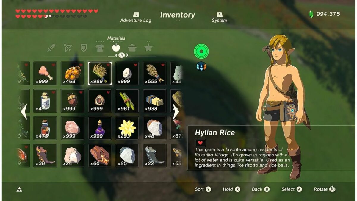 Hylian Rice Farming Guide - Locations and More | Tears of the Kingdom