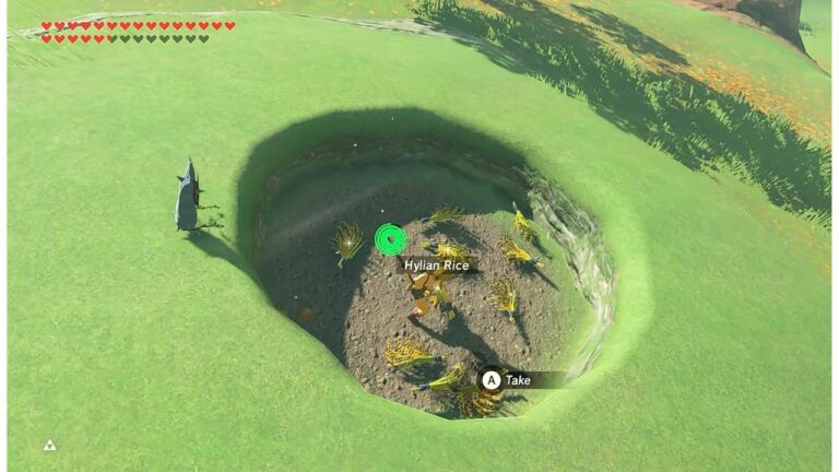 Hylian Rice Farming Guide - Locations and More | Tears of the Kingdom 