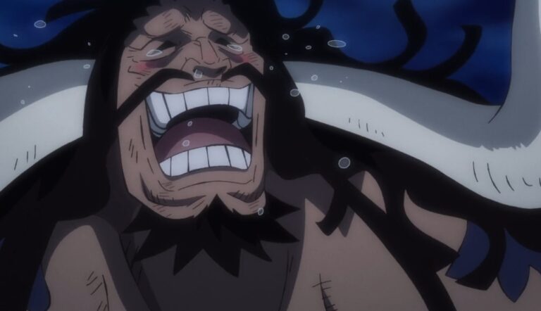 One Piece Episode 1065: Release Date, Speculation, Watch Online