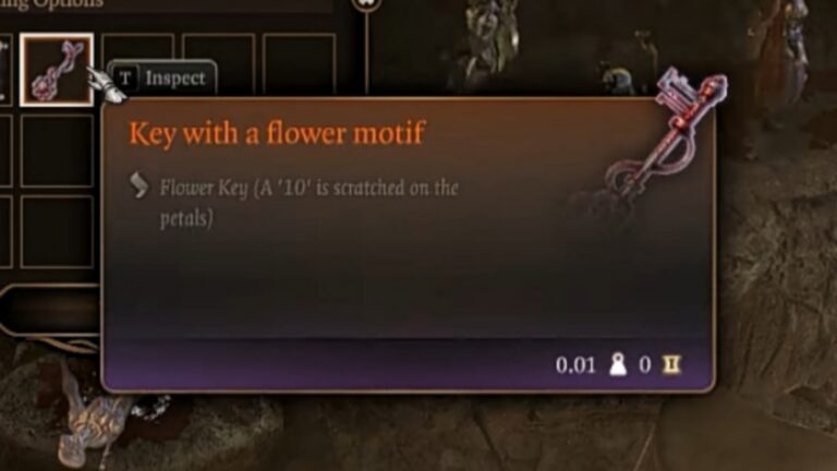 Where to find the Strange Flower Key? Baldur's Gate 3 Guide