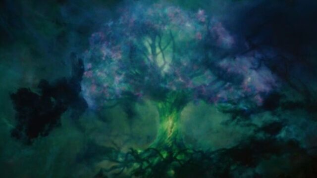 What is the Multiverse Tree ?