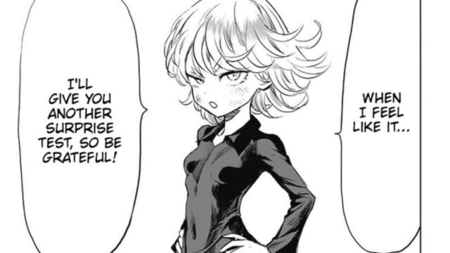 Saitama’s Love Interest from One Punch Man Discussed